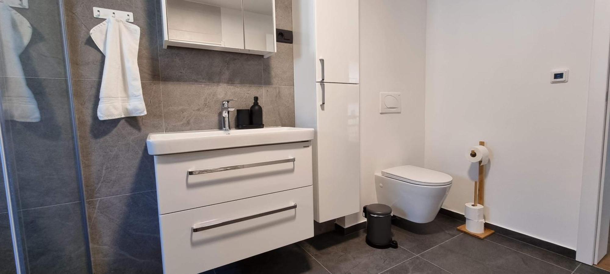 Naia Apartments Novo Mesto Luaran gambar