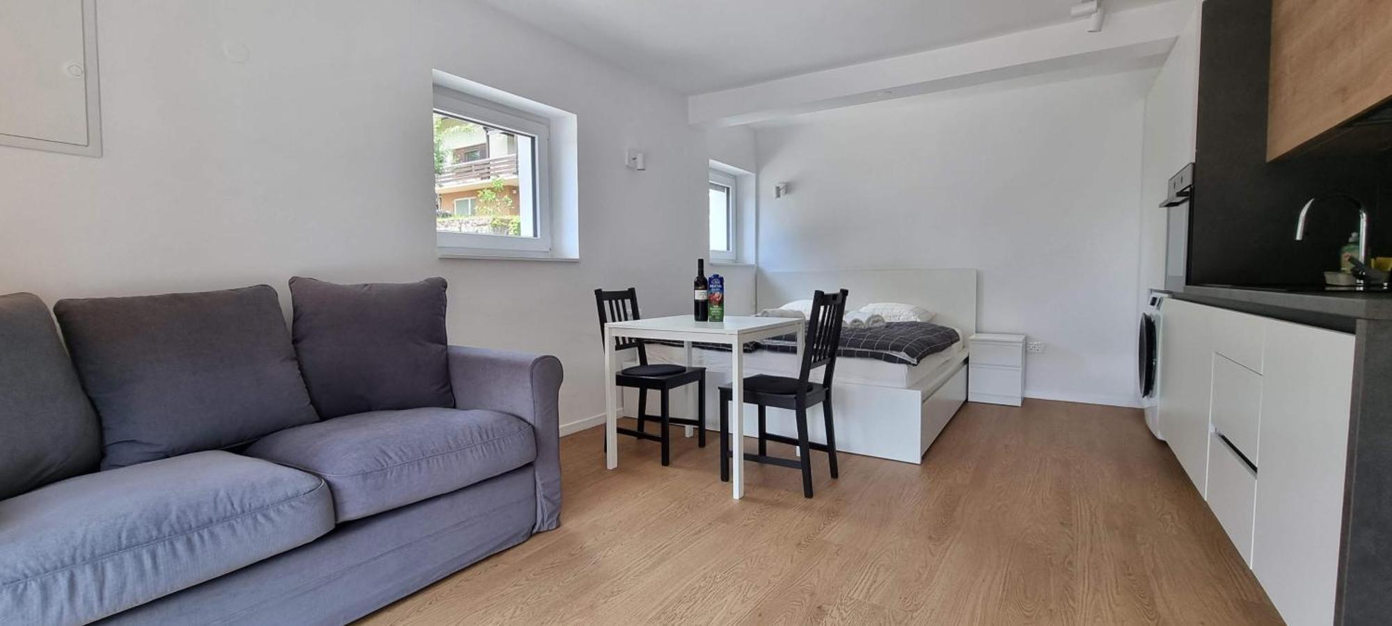 Naia Apartments Novo Mesto Luaran gambar